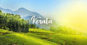 Todays Gold Rate in Kerala